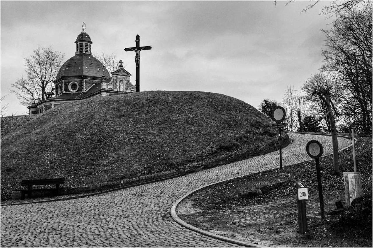 Kasteel B&B Sint-Bartel Geraardsbergen Kültér fotó